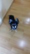 20131114_124003.jpg